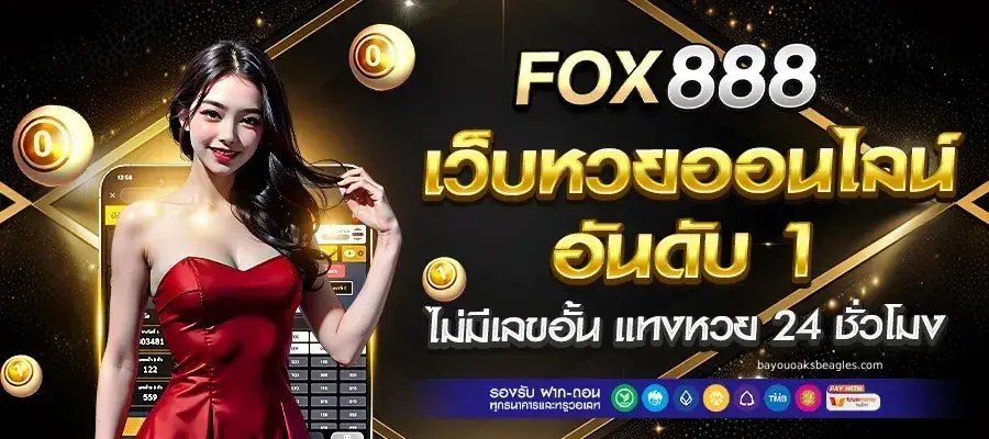 fox เว็บแทงหวย